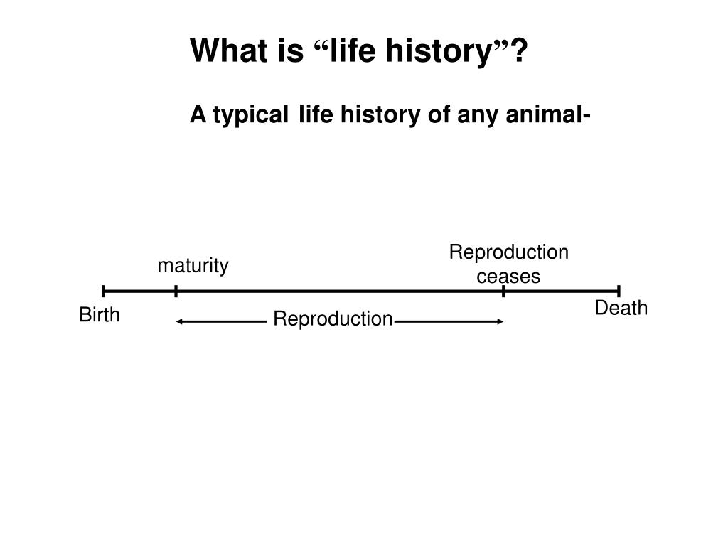 Ppt Bioe 109 Summer 2009 Lecture 10 Part Ii Life History Evolution Powerpoint Presentation 