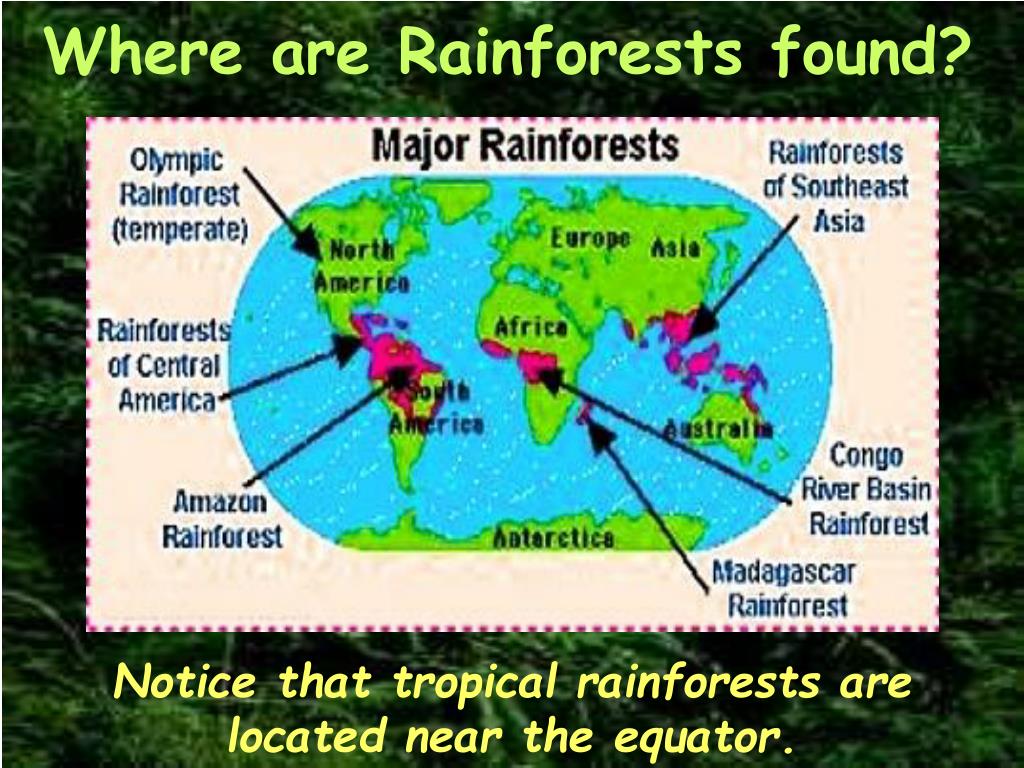 Where are Rainforests found? 