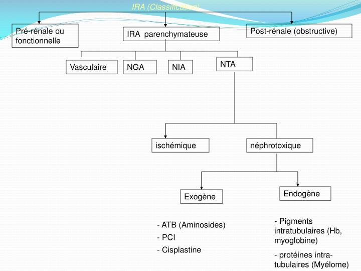 PPT - Insuffisance rénale aigue du sujet âgé PowerPoint Presentation ...