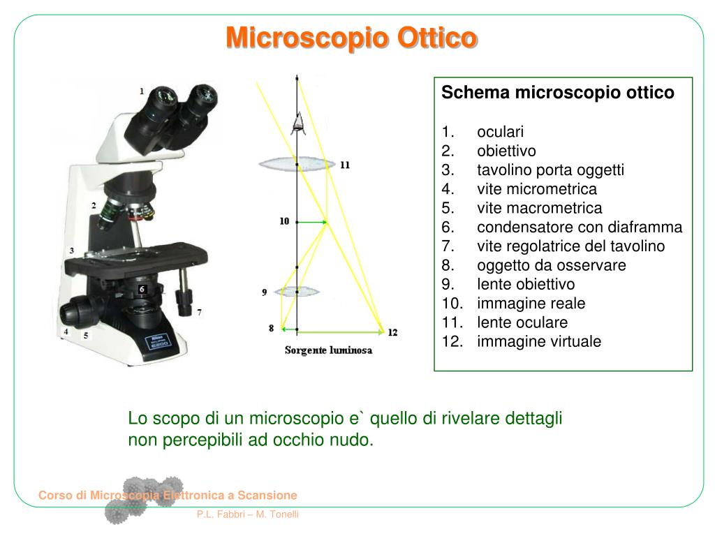 PPT - Corso di Microscopia Elettronica a Scansione P.L. Fabbri – M ...