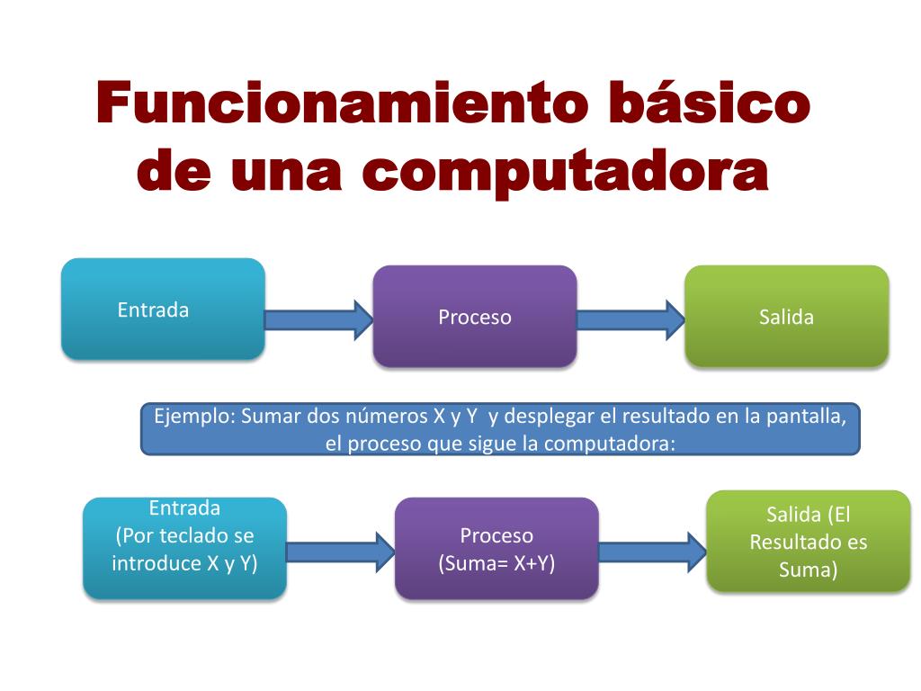 PPT - Funcionamiento básico de una computadora PowerPoint Presentation -  ID:5522034