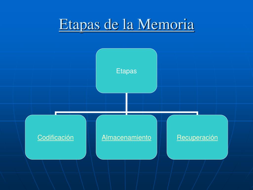 PPT - La Memoria PowerPoint Presentation, free download - ID:5522178