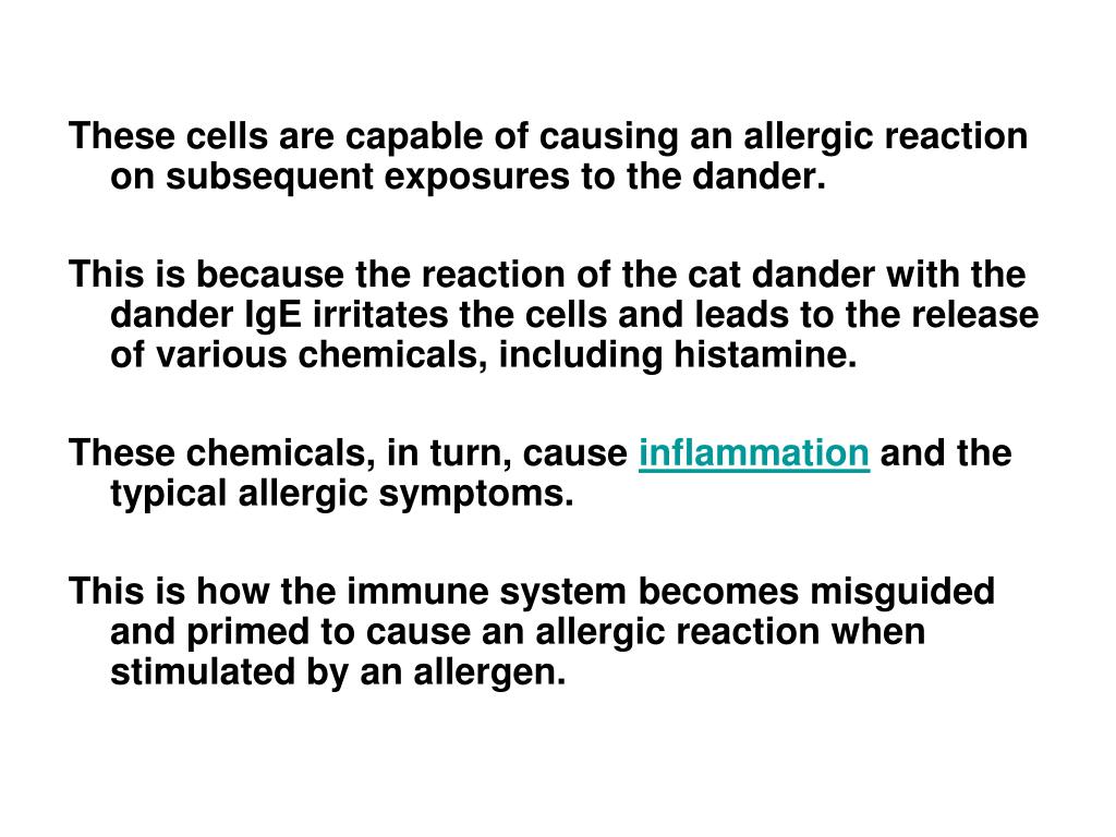 Dander Definition PPT - Understanding Allergies: Immune Reactions and Common Allergens ...