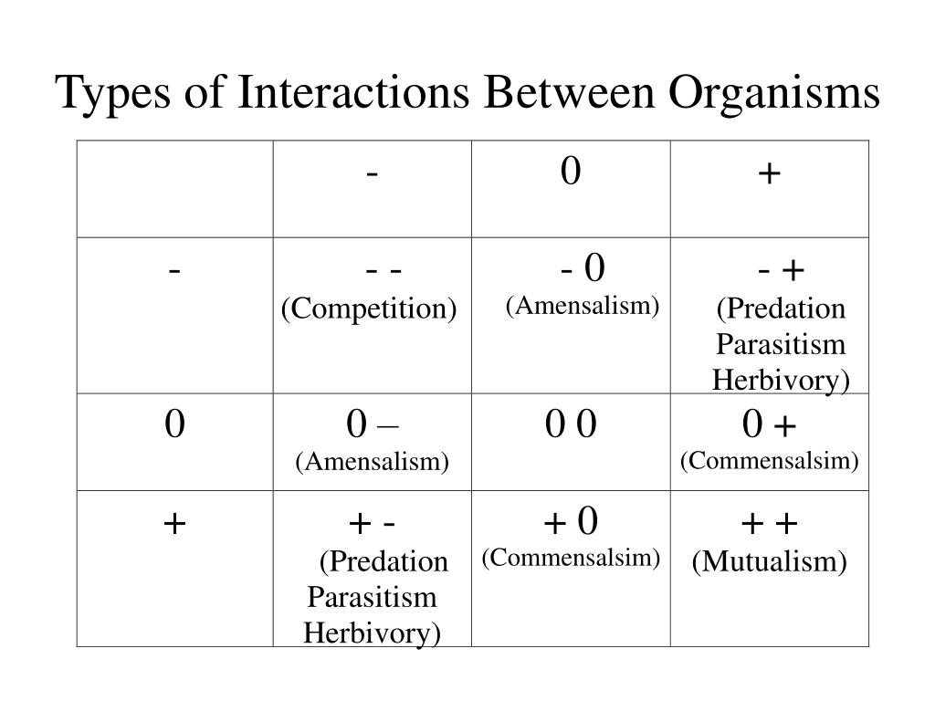 what are the five different types of interactions between organisms