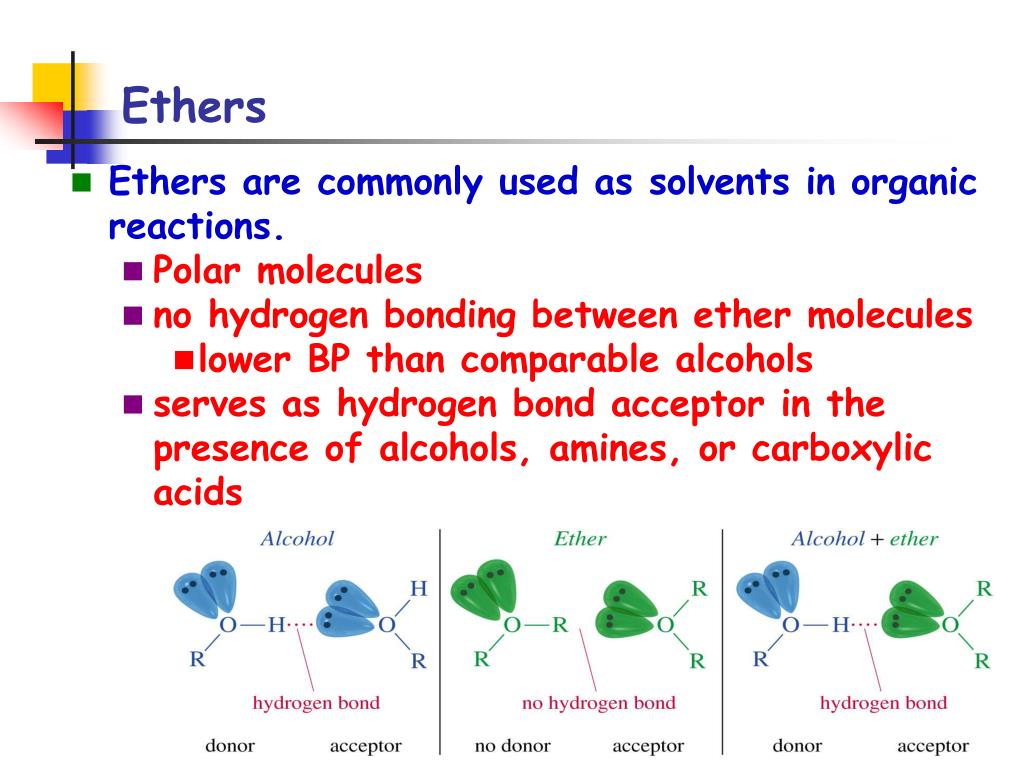 ethers no hydrogen bond