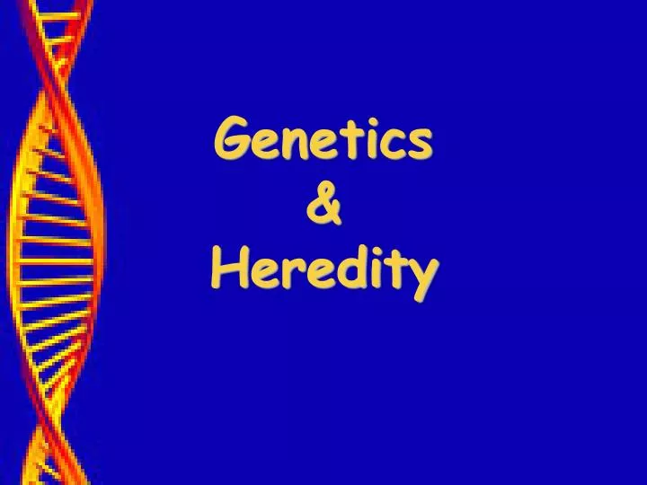 Ppt Genetics And Heredity Powerpoint Presentation Free Download Id 