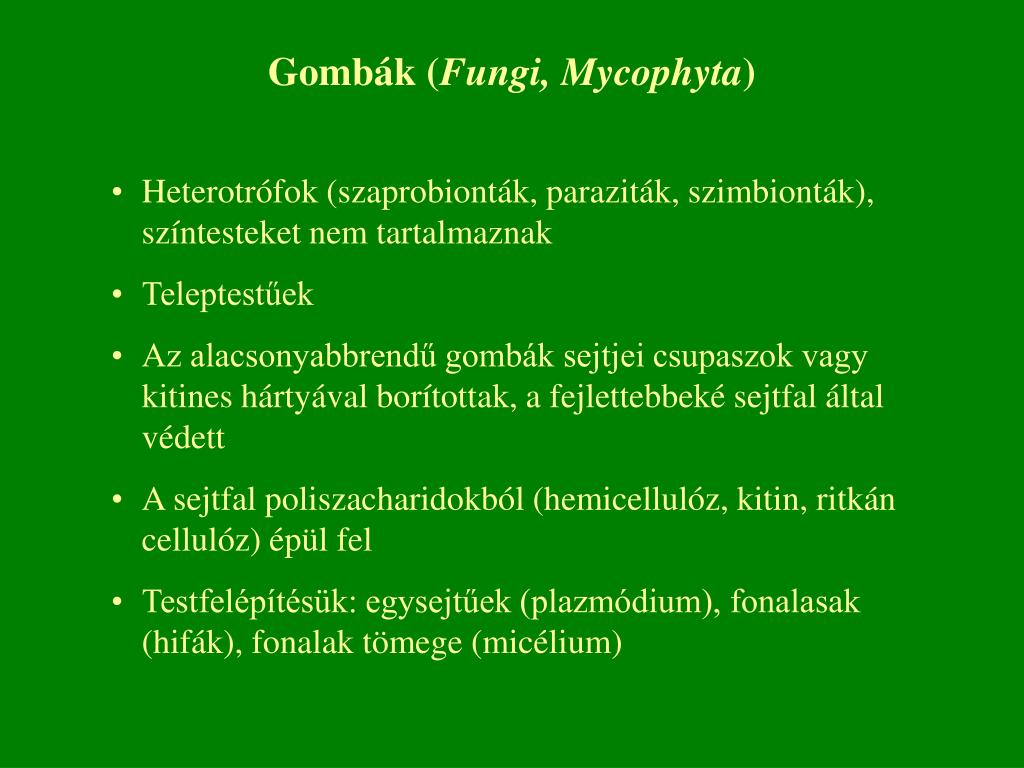 paraziták valódi nevei)