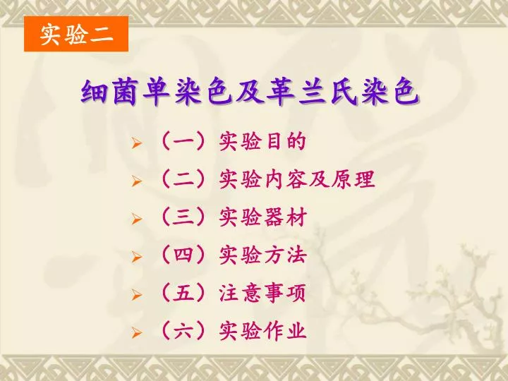 Ppt 细菌单染色及革兰氏染色powerpoint Presentation Free Download Id