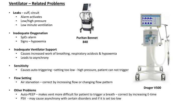 PPT - Ventilator Trouble shooting Presented by Lily To & James Lindsey