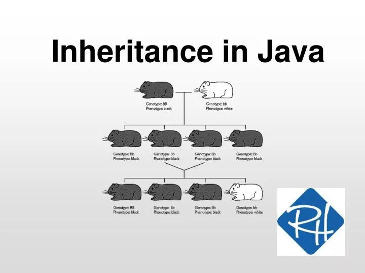 powerpoint presentation on inheritance in java