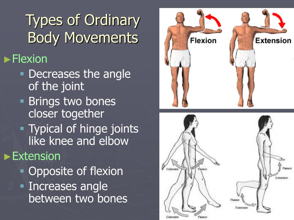 Movement Concepts Include All Of These Except at kathleenfjgibbs blog