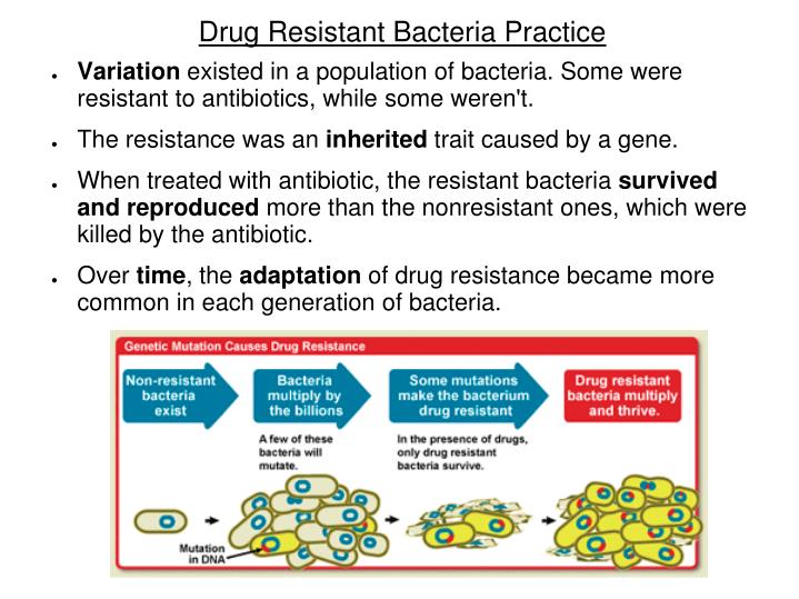What Conditions Are Needed For Natural Selection What Conditions Are Needed For Natural Selection