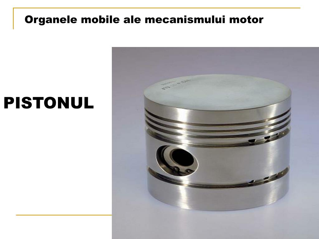 PPT - Mecanismul motor PowerPoint Presentation, free download - ID:5527586