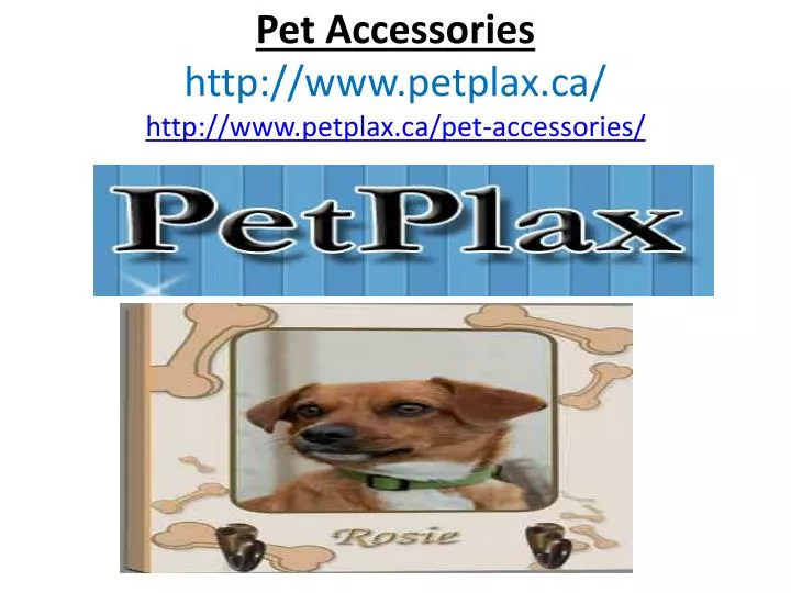 pet accessories http www petplax ca http www petplax ca pet accessories n.