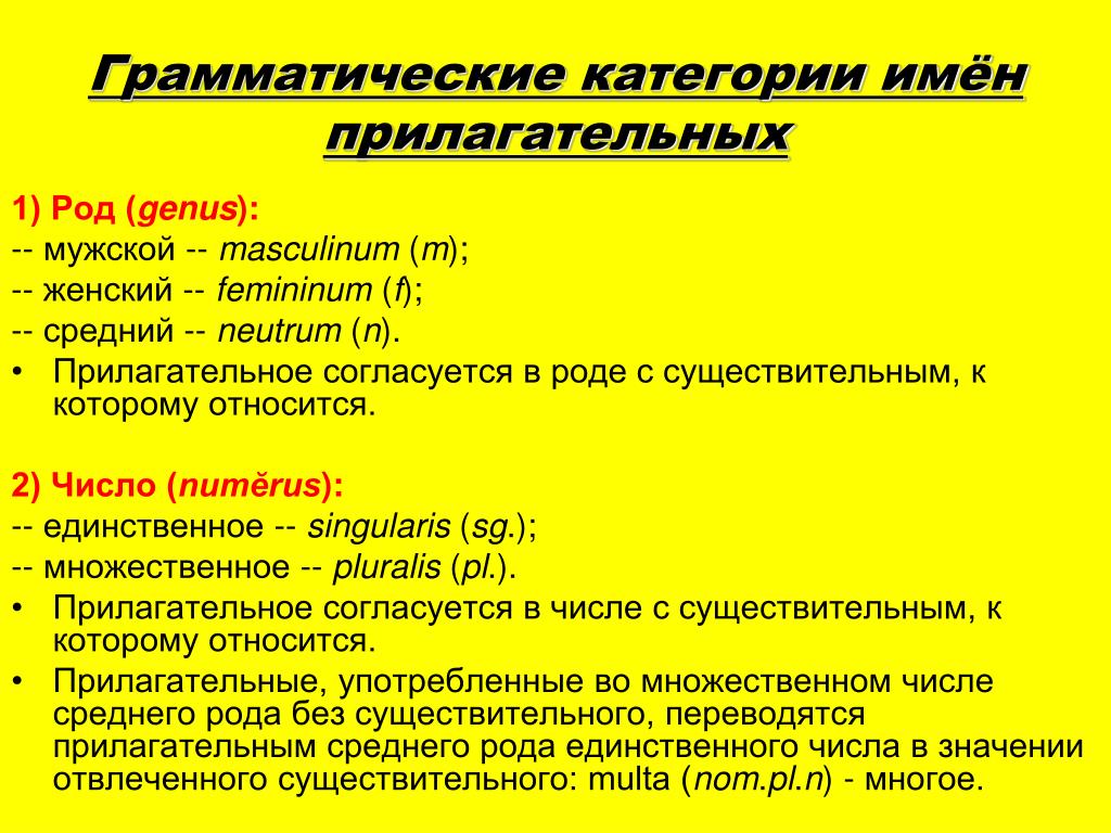 Грамматически роды. Грамматические категории прилагательного. Категории имен прилагательных. Грамматические категории имени прилагательного. Грамматические категории прилагательного в русском.