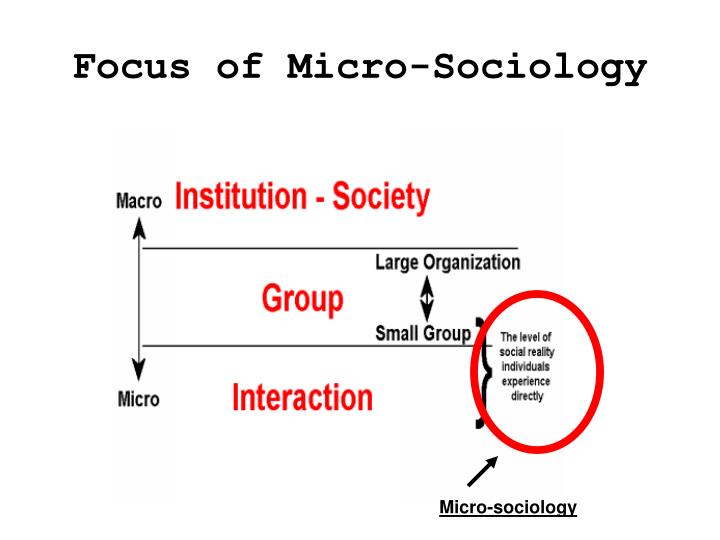 micro analysis sociology micro analysis sociology