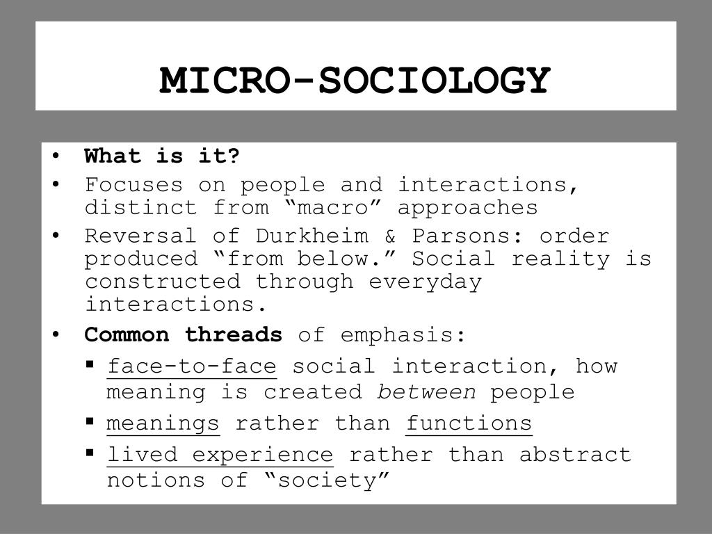 Micro analysis definition sociology