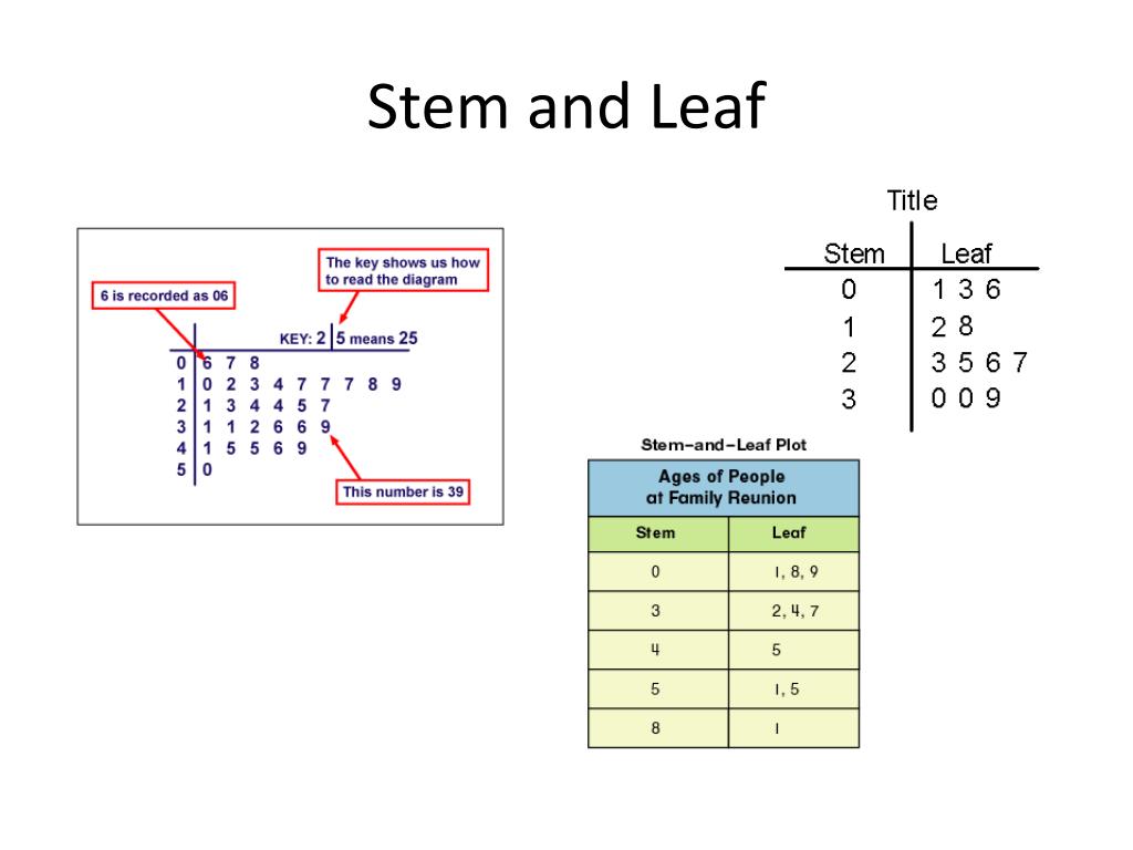 PPT Stem Leaf Plots PowerPoint Presentation Free Download ID 5530909