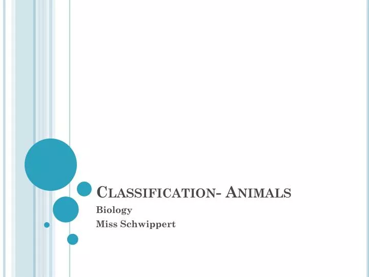 classification animals n.