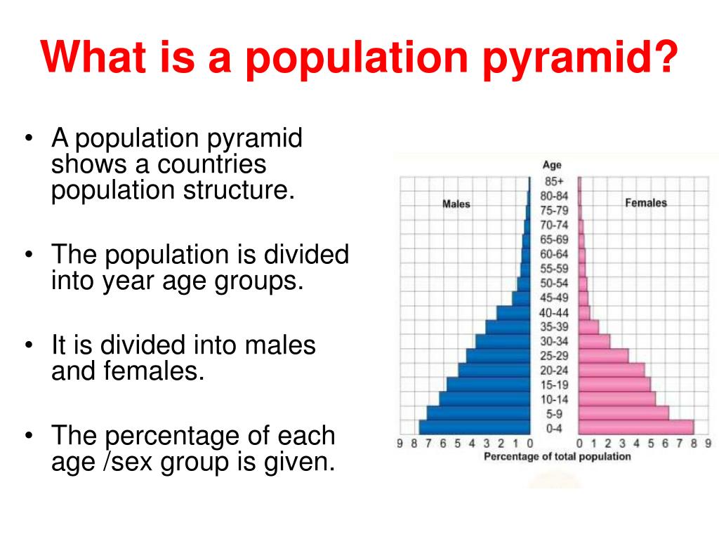 PPT - What is a population pyramid and what does it tell me? PowerPoint ...