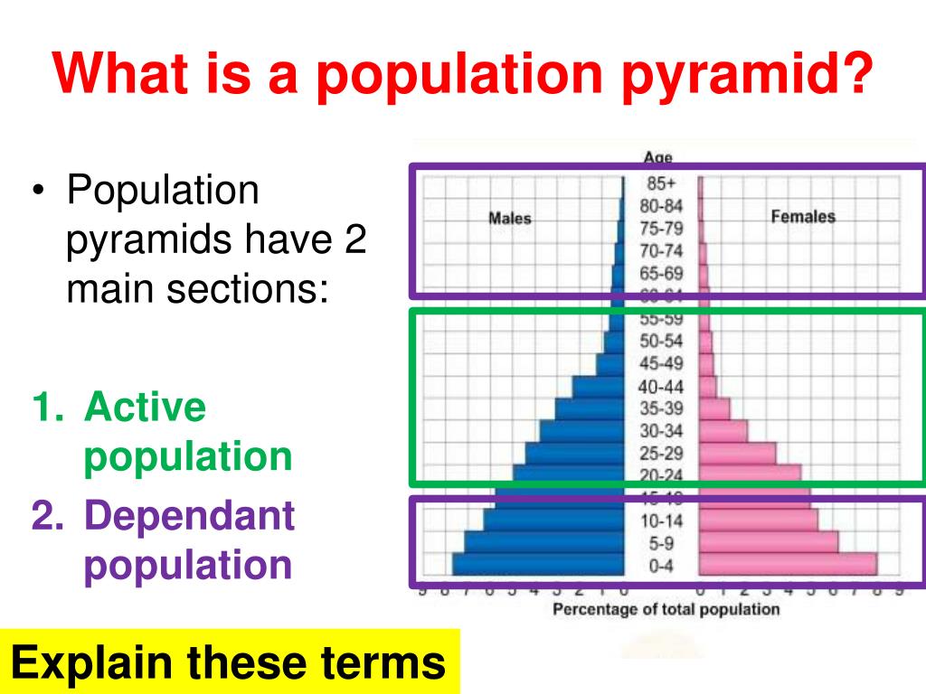 PPT - What is a population pyramid and what does it tell me? PowerPoint ...