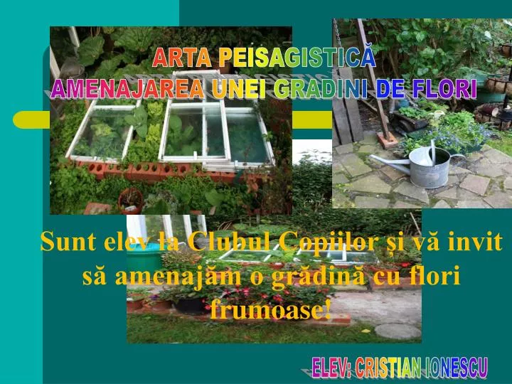 Ppt Elev Cristian Ionescu Powerpoint Presentation Free