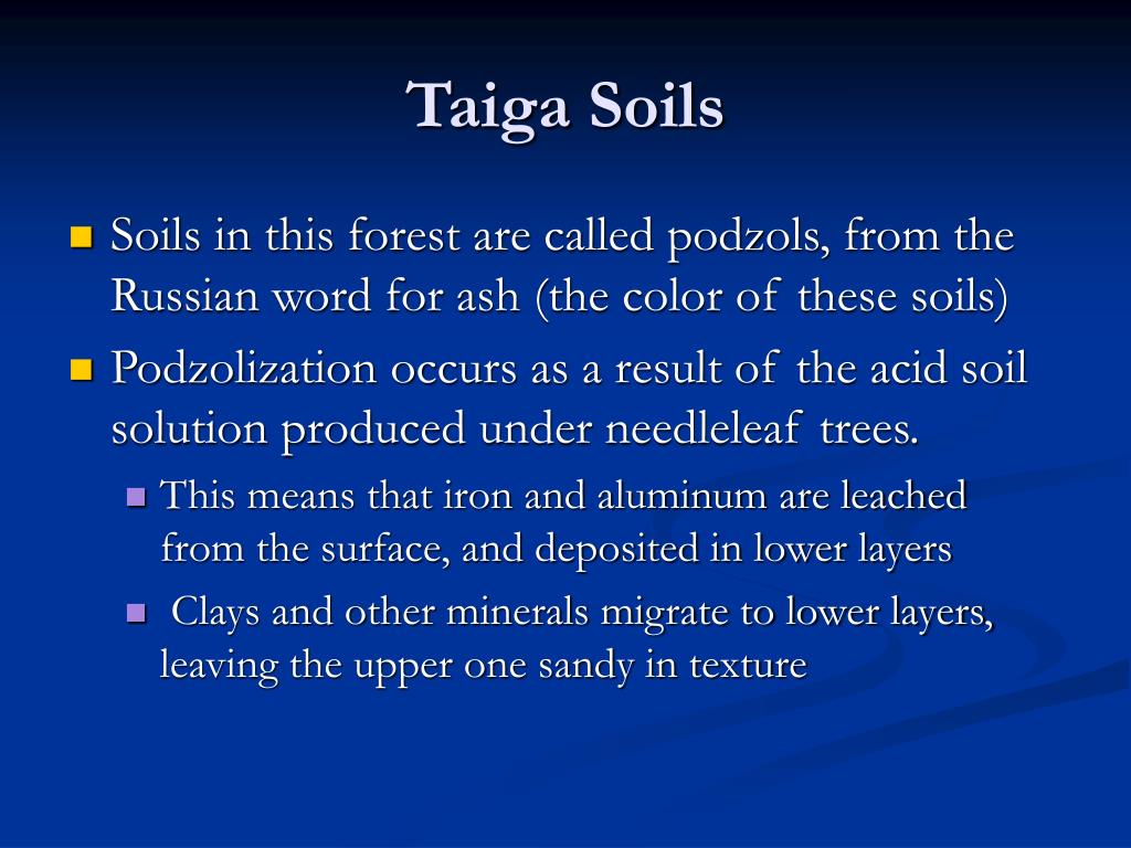 BOREAL FOREST OR TAIGA Stefanny Wilches. - ppt download