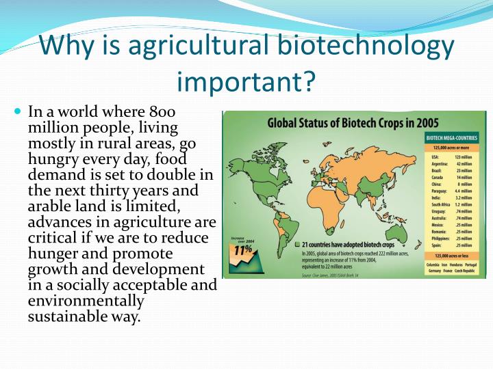 how-can-biotechnology-affect-agriculture-updated-2022