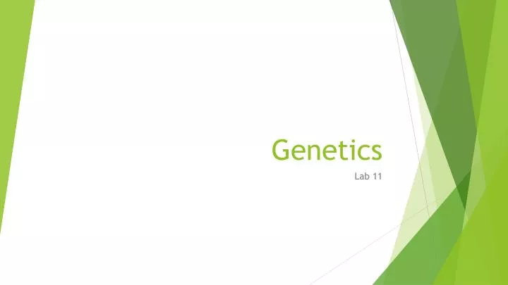 PPT - Genetics PowerPoint Presentation, Free Download - ID:5535395