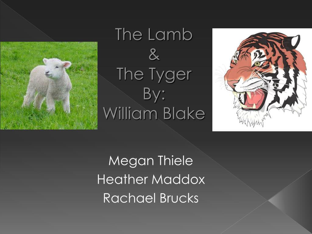 the lamb by william blake summary