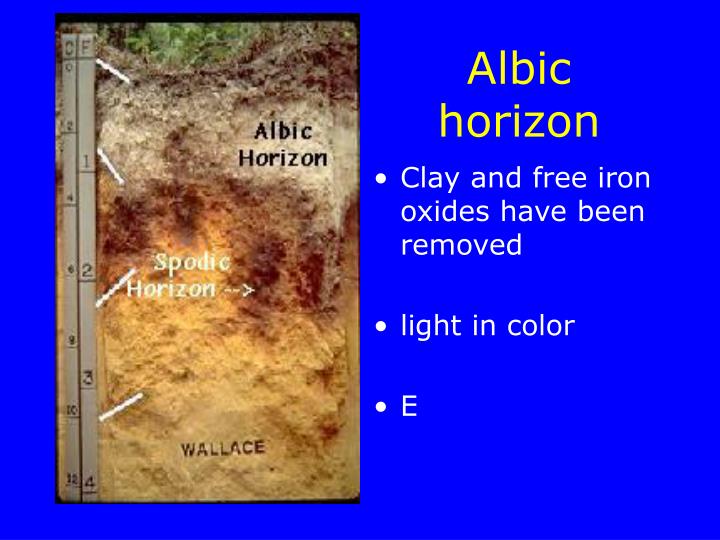 PPT - Diagnostic Horizons PowerPoint Presentation - ID:5535715