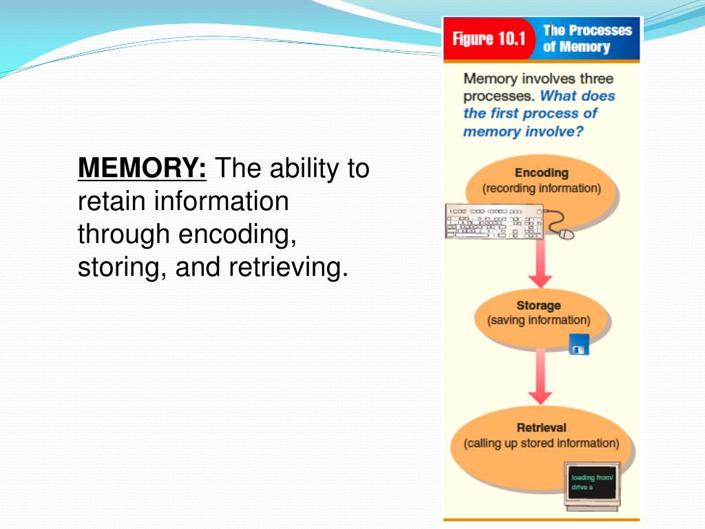 PPT - MEMORY & INTELLIGENCE PowerPoint Presentation, free download - ID ...
