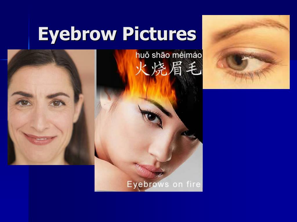 face and brow presentation ppt