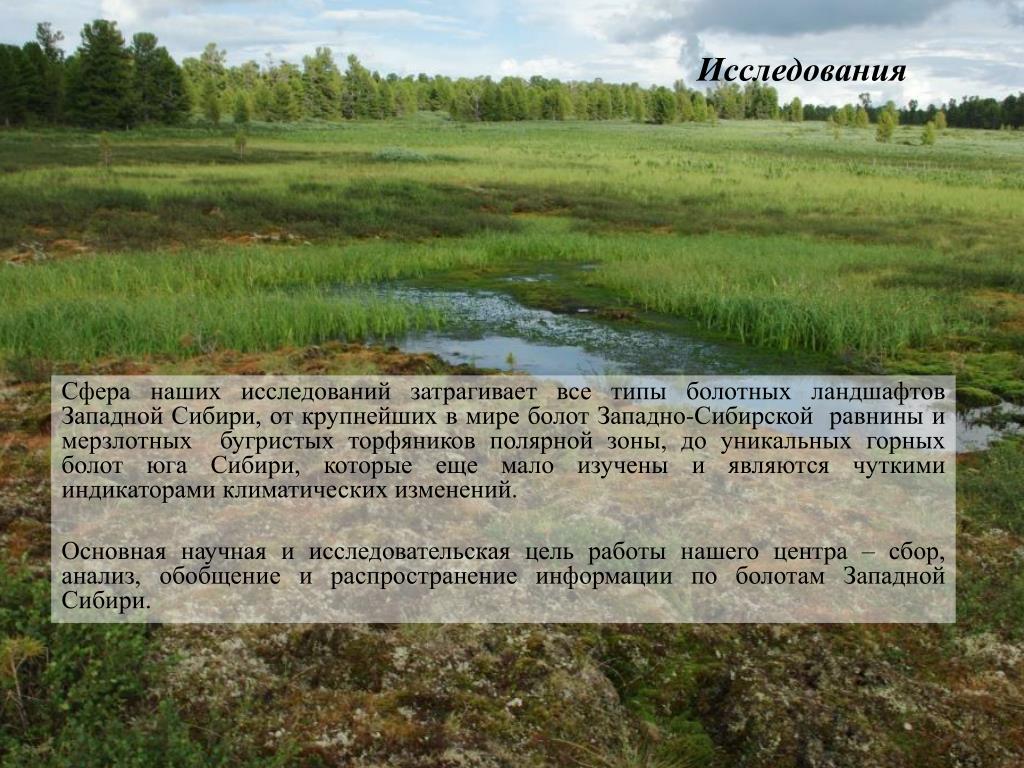 Более 10 территории россии занимают болота можно