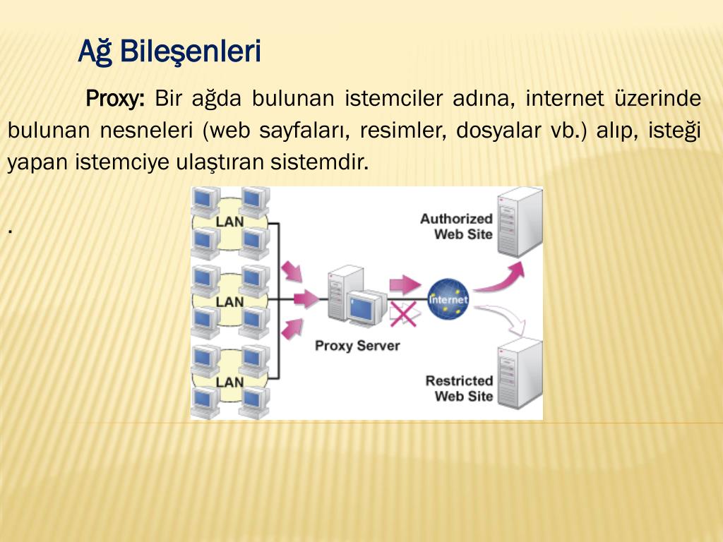 10web. IDS bileşenleri.