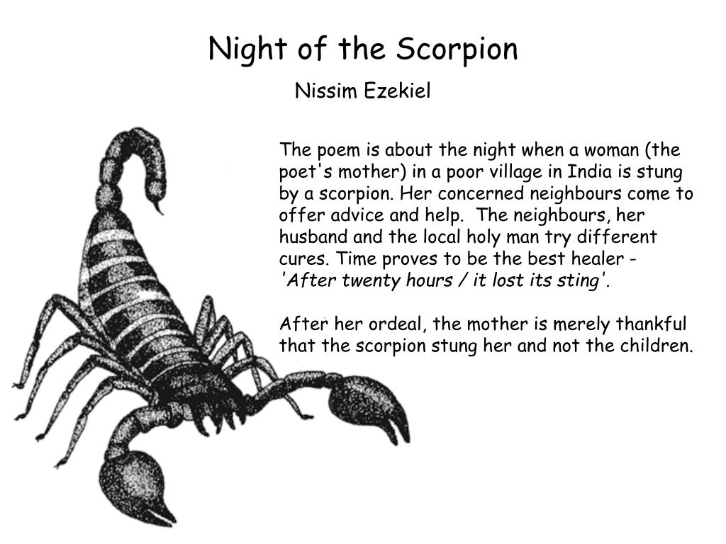 night of the scorpion by nissim ezekiel