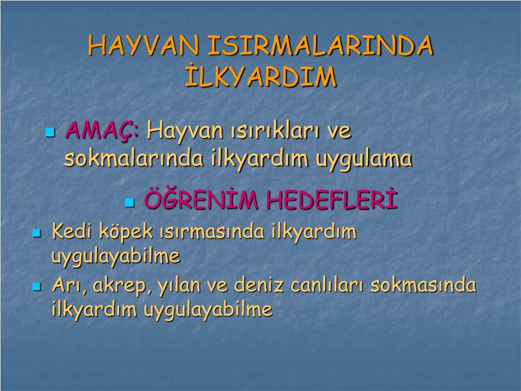 Ppt Hayvan Isirmalarinda Ilkyardim 10 Powerpoint Presentation Free Download Id 5541811