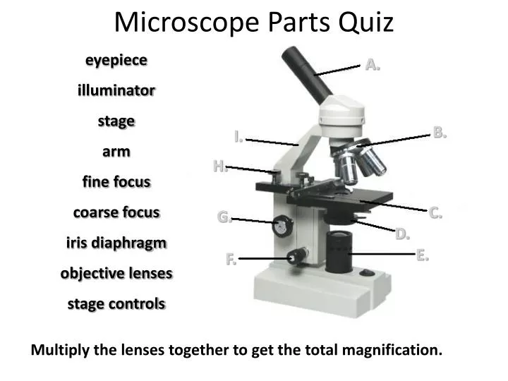 PPT Microscope Parts Quiz PowerPoint Presentation ID