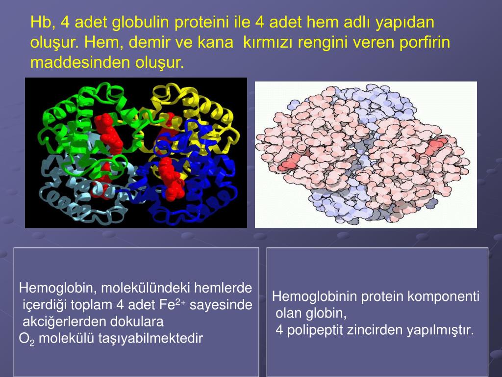 Что такое глобулин. Глобулин. Глобулин структурная формула. Глобулин гематита. Глобулин шунгита.
