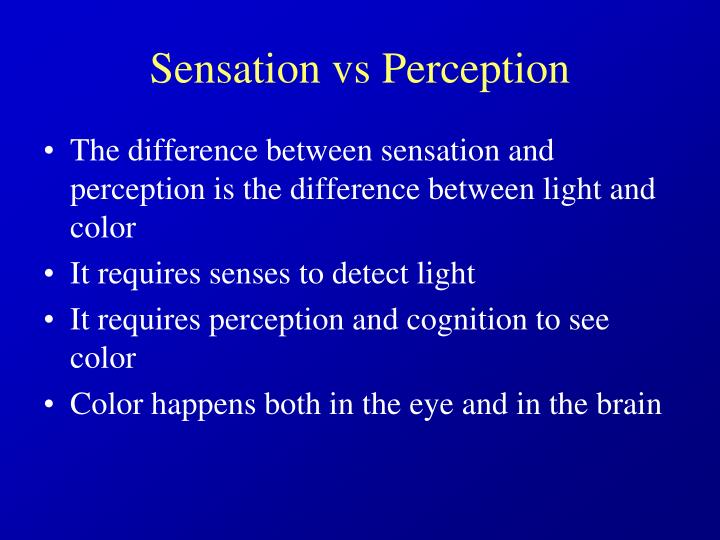 Sensation Vs Perception: Difference And Comparison – OMIPW