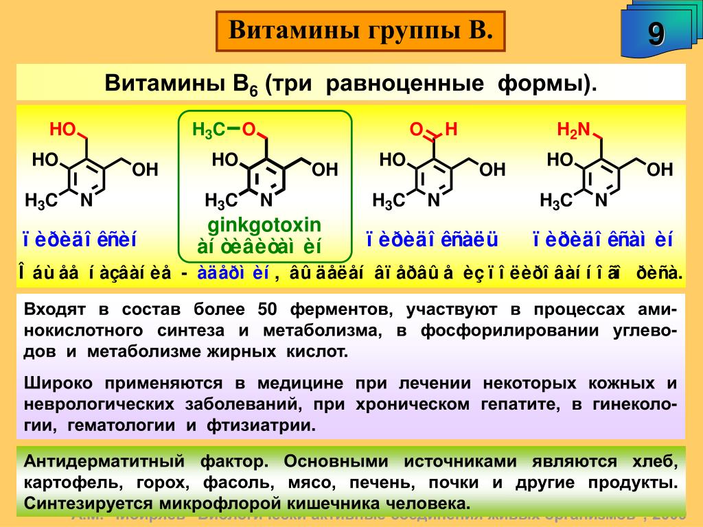 Биосинтез витаминов. Где происходит Синтез витаминов группы в, к, с. Синтез витаминов. Синтез витаминов группы в и к. Синтез витаминов группы б.