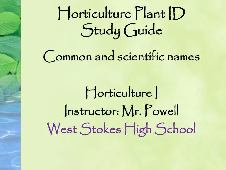Ppt Horticulture Plant Id Study Guide Powerpoint Presentation Free