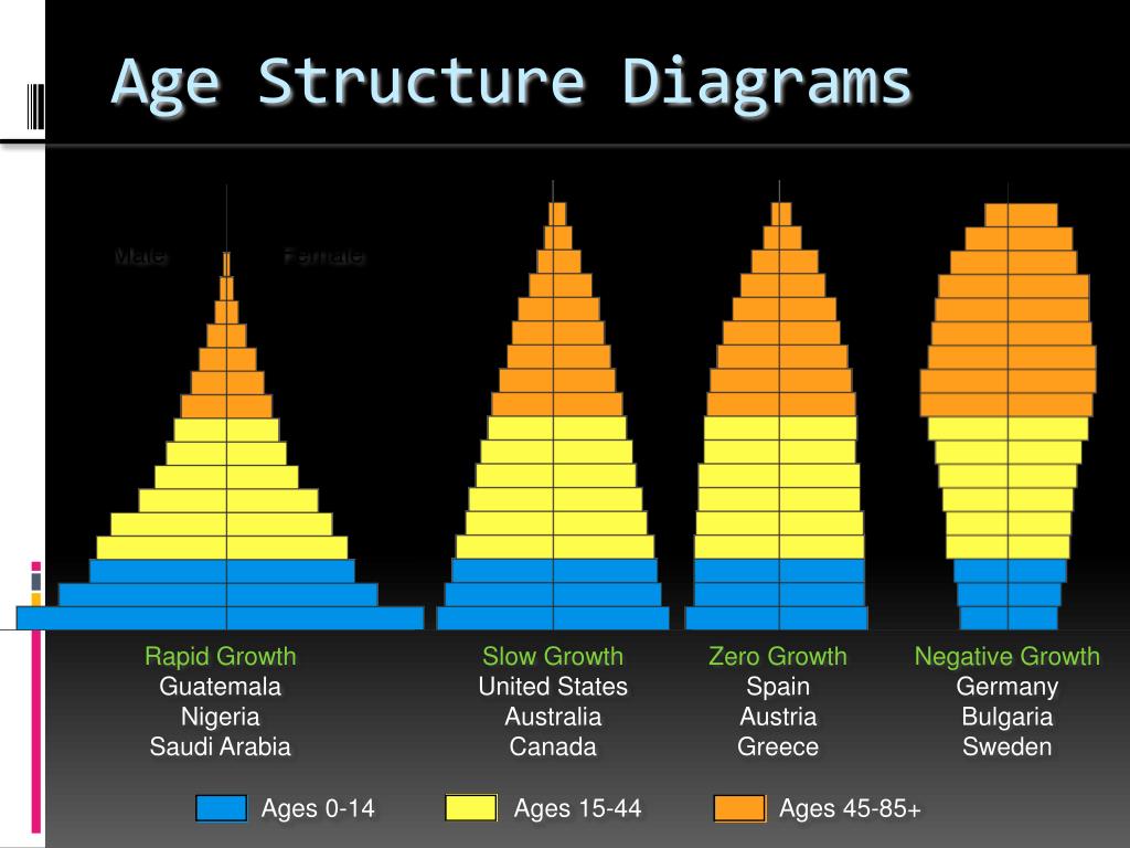 Age Structure Diagram Shapes