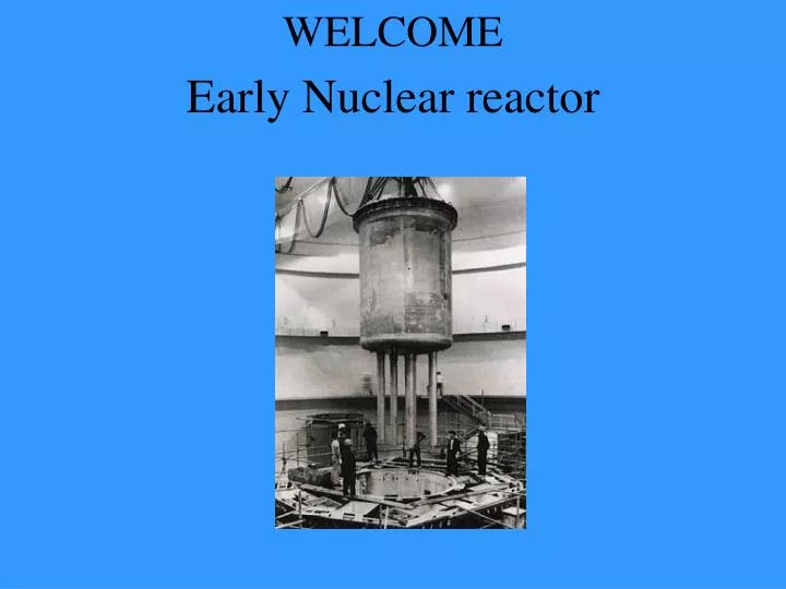 early nuclear reactor n.