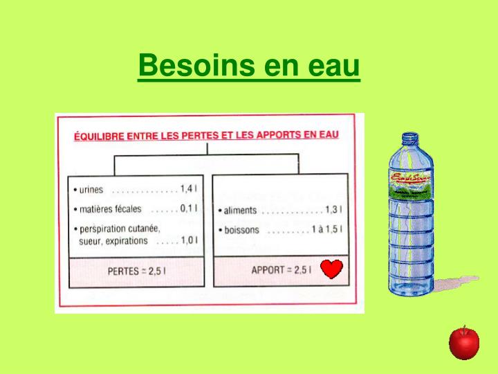 Séquence Satisfaire Les Besoins En Eau Cm1