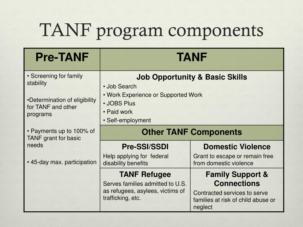 Extra Tanf Benefits 2025 - Jane Roanna