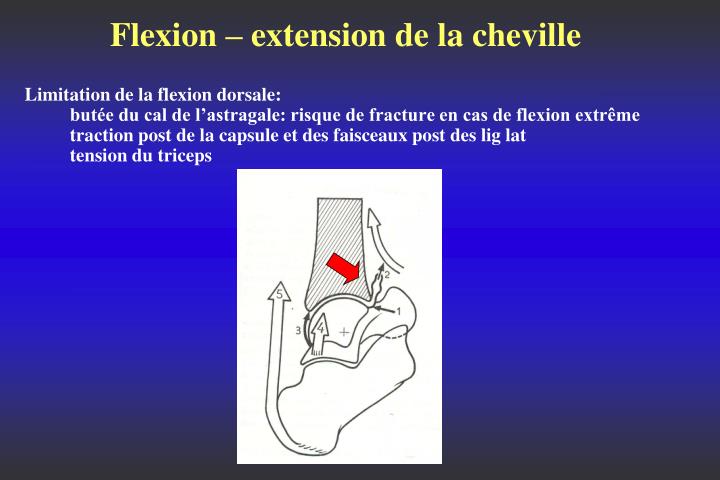 PPT - DOCTEUR JOËL COSTE RHUMATOLOGUE EXPERT JUDICIAIRE PowerPoint ...