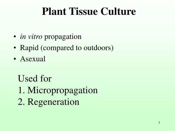 Ppt Plant Tissues Powerpoint Presentation Free Download