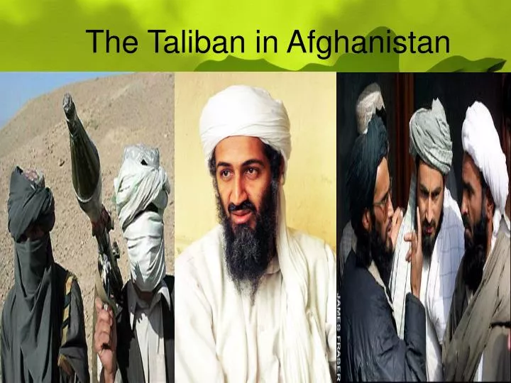 the taliban essay Inspired and led by malala's example, the malala fund works to secure girls' right to a minimum of 12 years of quality education the taliban target malala. the taliban essay Inspired and led by malala's example, the malala fund works to secure girls' right to a minimum of 12 years of quality education the taliban target malala.