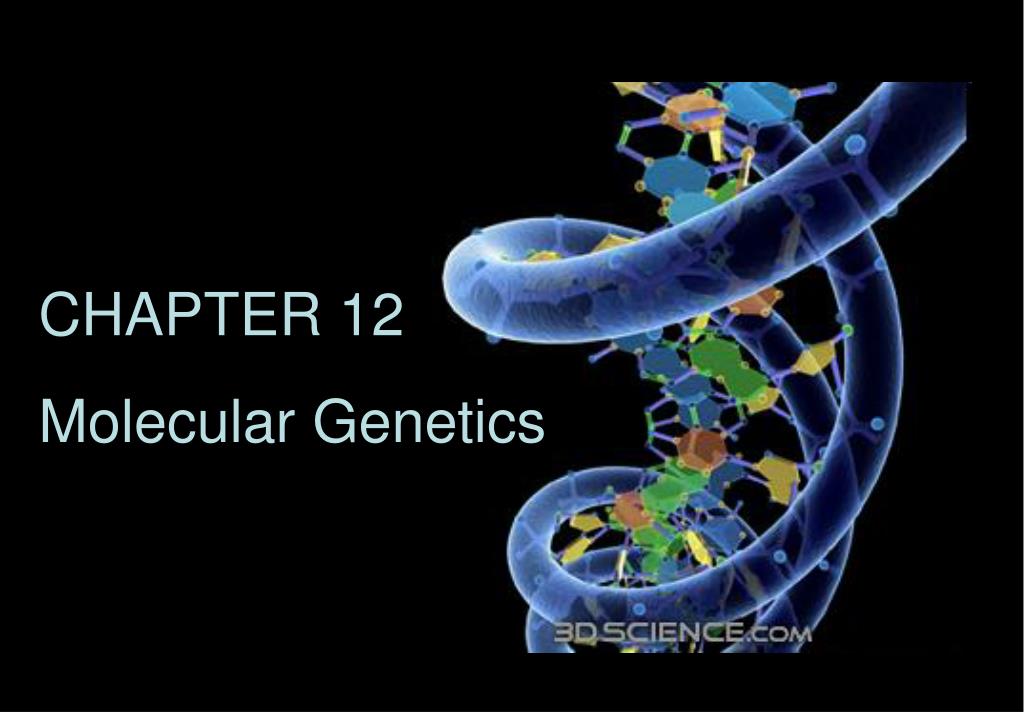what is genetic molecular theory